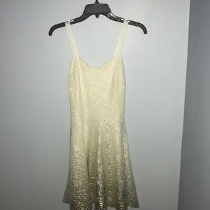 Ivory lace Free People fit and flare dress NWT